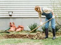 Garten anlegen – Mit diesen Schritten zum Traumgarten 