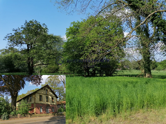 Landsitz zwischen Bremen - HH als Renditeobjekt mit extra Bauplatz und Weide für Pferdehaltung!