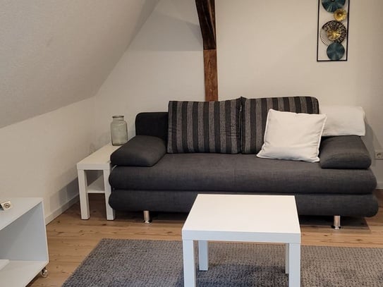 1-Zimmerwohnung mit Wlan, TV, Doppelbett, Küche, Dusche/Wc, Waschmaschine und Trockner