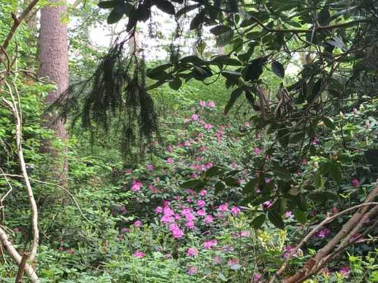 Wochenend Waldgrundstück OHZ OT Heilshorn