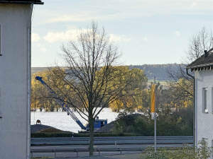 Hübsches Einfamilienhaus mit Terrasse und schönem Garten – 65366 Geisenheim, 65366 Geisenheim – Vorschaubild 8