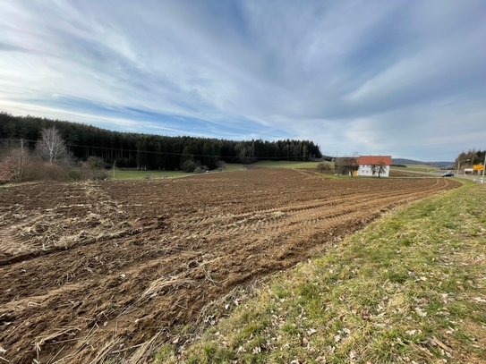 Landwirtschaftsfläche bei Teunz