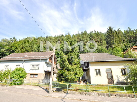 Wohnen im Grünen – Charmantes Haus mit Waldgrundstück und vielseitigen Nutzungsmöglichkeiten!