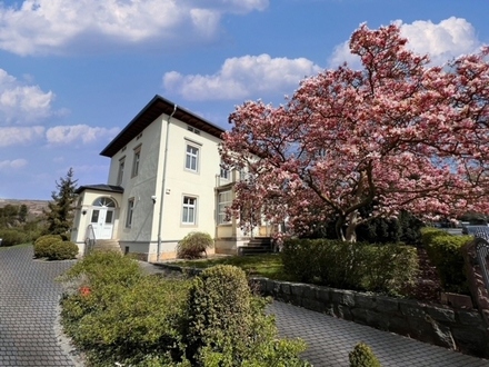 Bürovilla mit attraktivem Grundstück in Radebeul zur Miete
