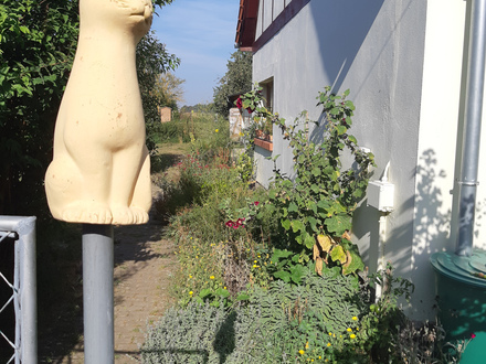 Mediteranes Flair in der Uckermark - Hauskauf ohne Maklergebühren