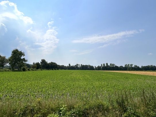 Ackerfläche in Bad Zwischenahn / Ohrwege - vorauss. zukünftige Fläche für Windenergiepark