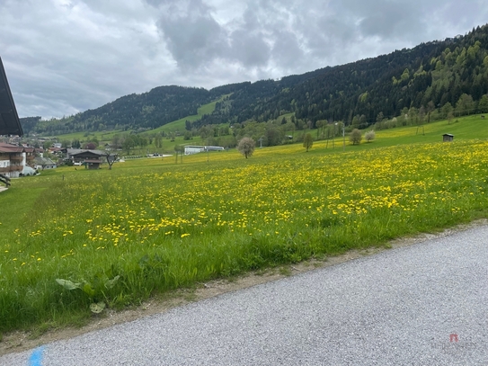 TOP-Baugrund in der Niederau