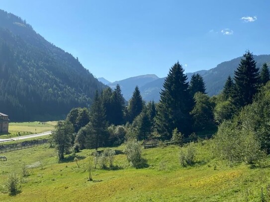 Traumhaftes Bauland neben dem Skigebiet Riesneralm in Donnersbachwald!