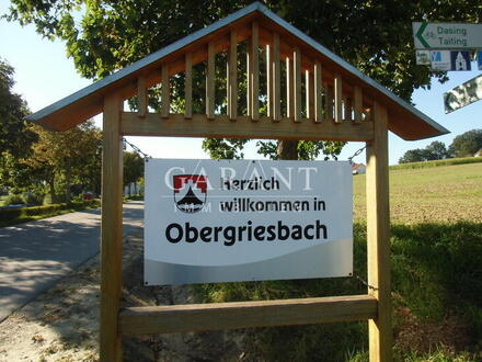 Familienfreundliches Einfamilienhaus mit schönem Garten in Obergriesbach bei Aichach