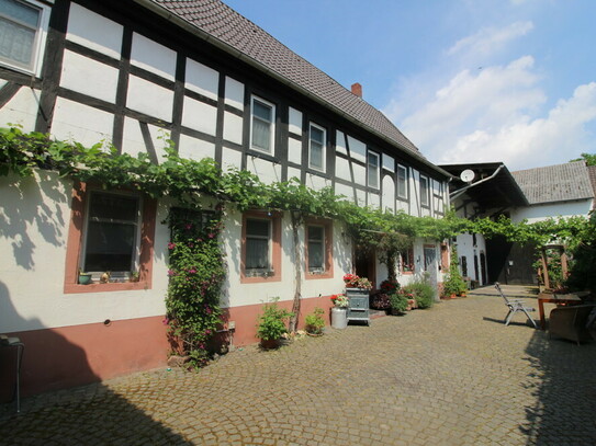 Ehemaliges Bauernhaus mit Fachwerk, viel Charme und riesiger Scheune direkt an einem Biotop. Über 1000 m² Grundstück