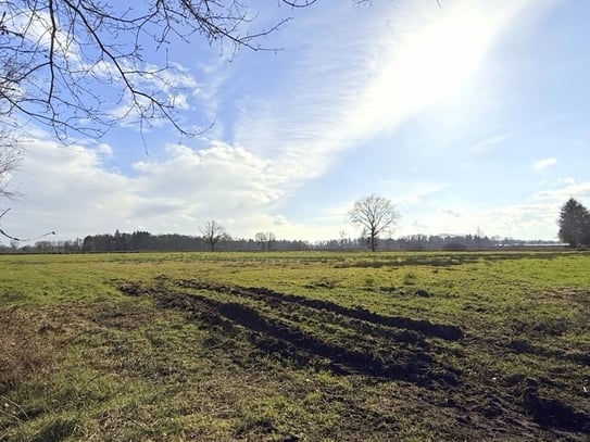 Ca. 1,5 ha Grünlandfläche in Edewecht-Jeddeloh I (Tütjenbarg / "Wildenlohs Moor")