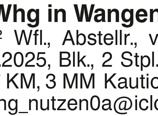 4,5-Zi-Whg in Wangen