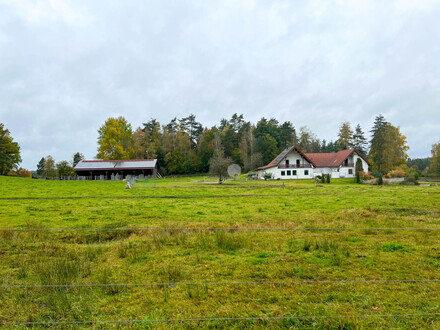 Charmanter Bio-Bauernhof im Waldviertel