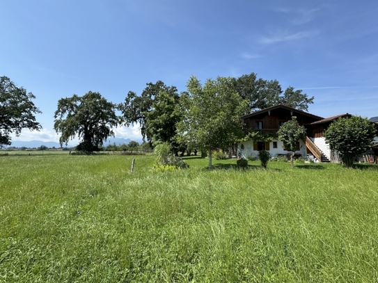 EFH mit Einlieger-Whg. und Doppelgarage in grandioser Bergpanorama-Naturrandlage