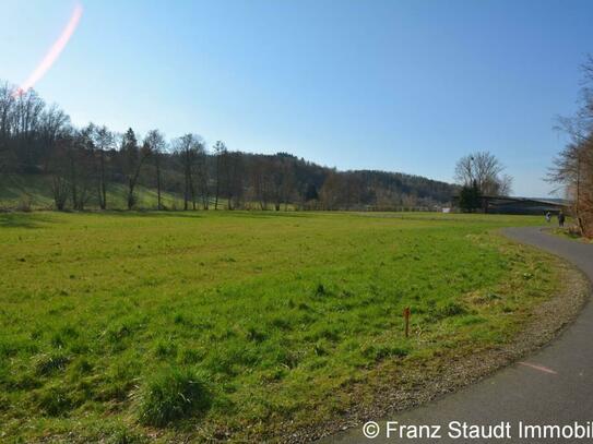 Wiesengrundstück am Bach in Laufach-Frohnhofen