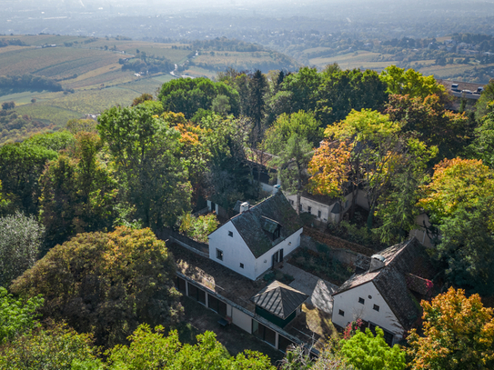 Liebe zur Nostalgie: Historische Villa am Kahlenberg mit Blick über Wien