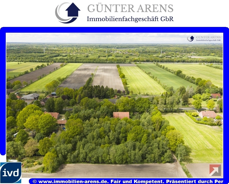 Real Estate Title Image Background