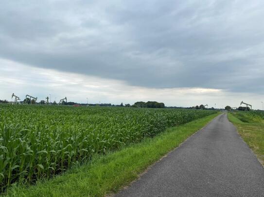 landwirtschaftliche Flächen in Emlichheim gegen Gebot