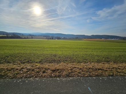 Landwirtschaftliche Fläche in Störnstein zu verkaufen