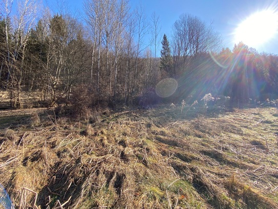 Sonniges Baugrundstück in leichter Hanglage in beliebter Wohngegend nahe Thalersee (3146)