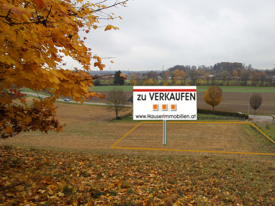 Baugrund Attnang in naturnaher Umgebung!