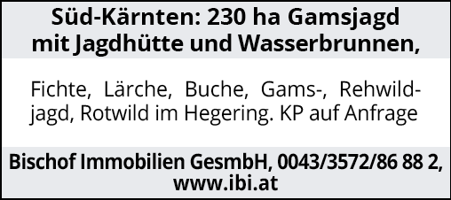 Süd-Kärnten: 230 ha Gamsjagd mit Jagdhütte und Wasserbrunnen