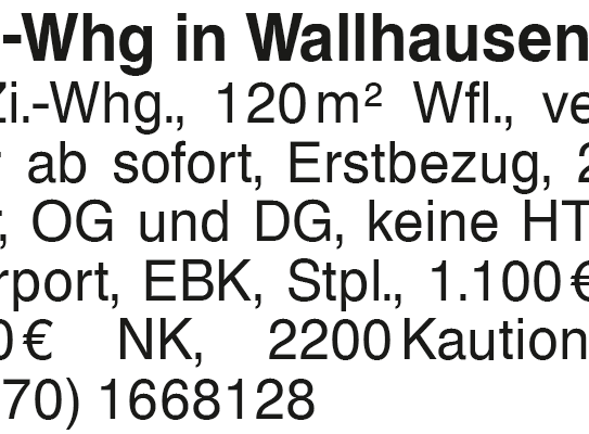 4-Zi.-Whg in Wallhausen