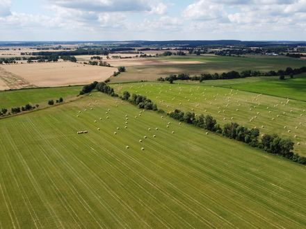 Landwirtschaft Brandenburg