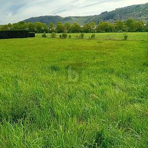 BAUEN IN MALERISCHER NATUR