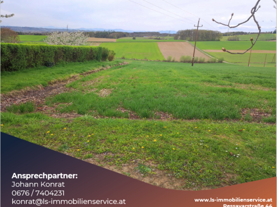 Sonniges Baugrundstück im Südburgenland!