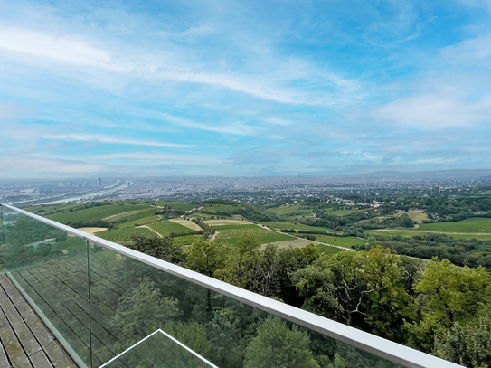 Hoch hinaus! Die Wiener Skyline liegt Ihnen zu Füßen - 3-Zimmer Wohnung am Kahlenberg