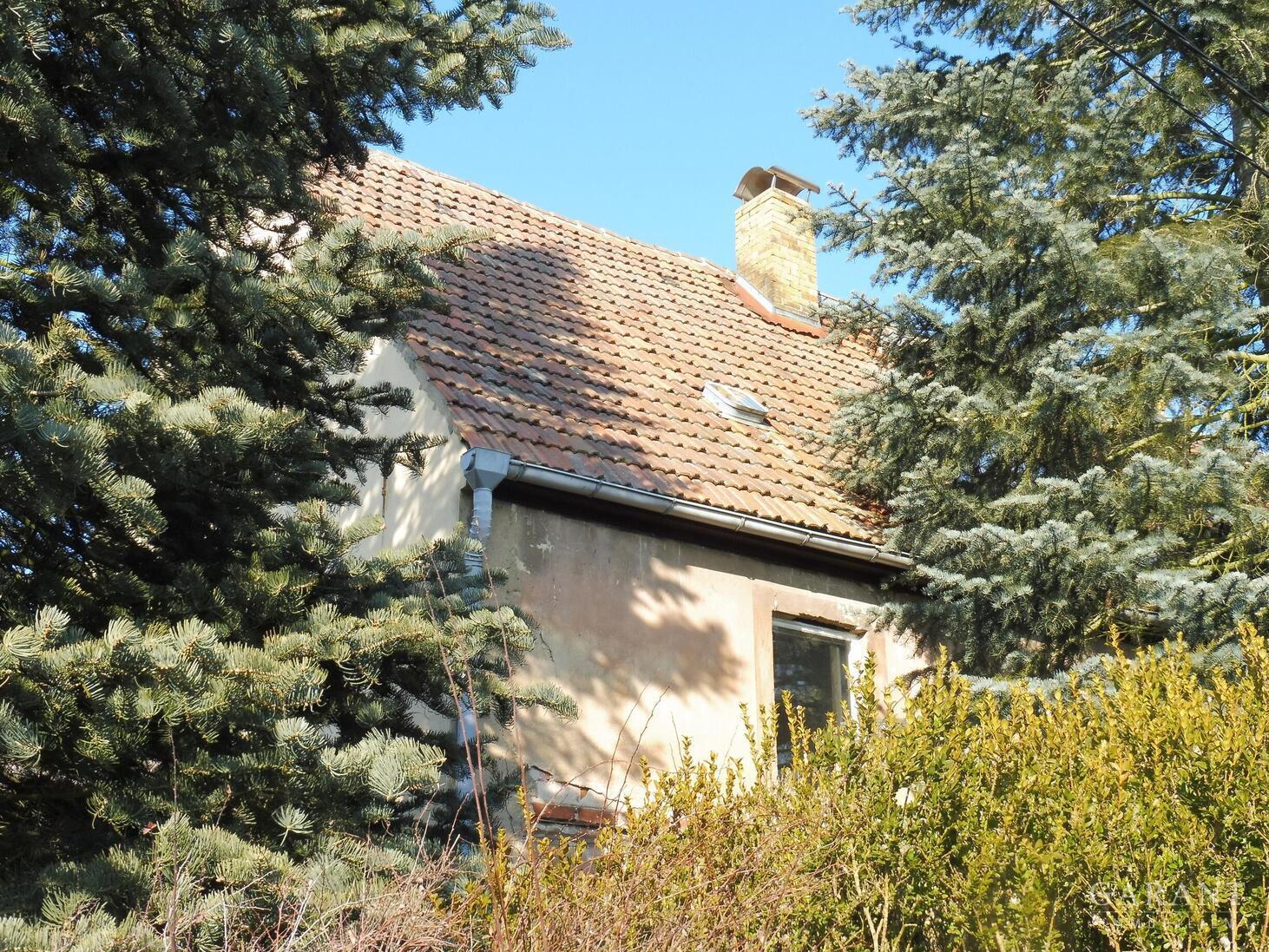Ländliche Idylle in Nordsachsen – 04874 Belgern, 4874 Belgern – Vorschaubild 4