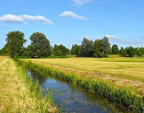 +++Zwangsversteigerung+++ Graben / Wasserfläche in Altenoythe 1.086 m²