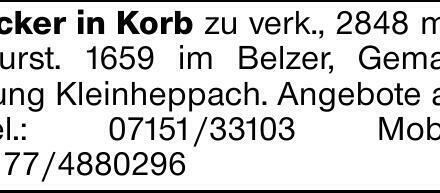 Acker in Korb zu verk., 2848 m², Flurst. 1659 im Belzer, Gemarkung Kleinheppach....