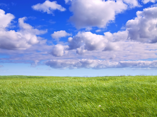 Konvolut an Landwirtschaftsflächen (Ackerland oder Grünland) in Engstingen gegen Höchstgebot!