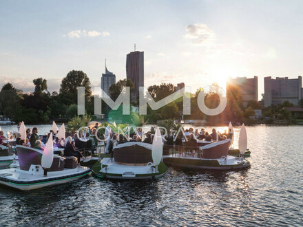 Top-Ausblick über Kaisermühlen, Alte Donau und Neue Donau