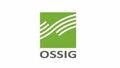 Ossig & Partner Steuerberater Wirtschaftsprüfer