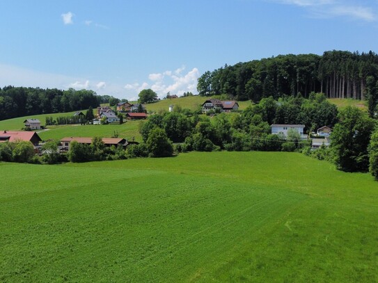 Freiheit genießen mit Blick ins Grüne! Sonnige 2-Zimmer-Neubauwohnung