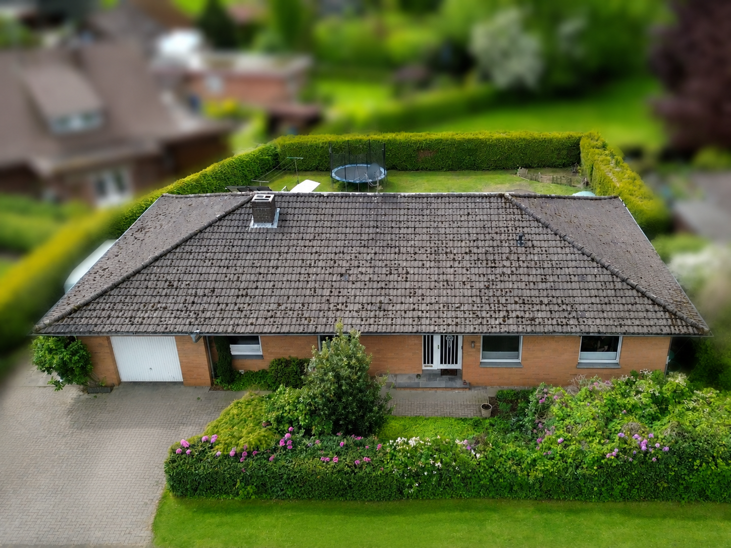 Real Estate Title Image Background