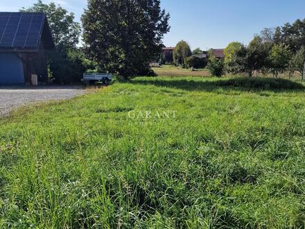 Preissenkung - Schönes Baugrundstück in Buchhausen bei Schierling