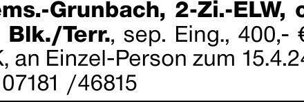 Rems.-Grunbach, 2-Zi.-ELW, ohne Blk./Terr., sep. Eing., 400,- € + NK, an...