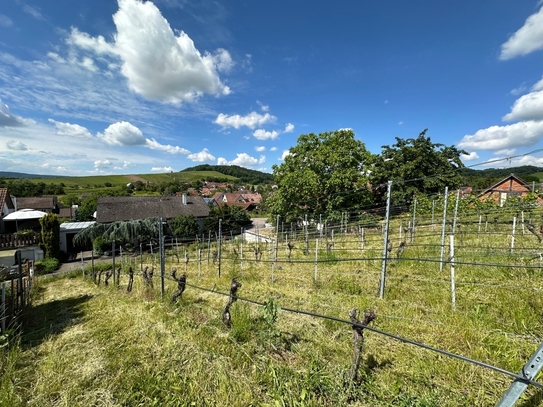 Grundstück mit Fernsicht für Ihr Traumhaus