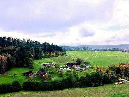 Traumhaftes Reitanwesen in idyllischer Lage nahe der Schweizer Grenze