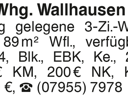 3-Zi.-Whg. Wallhausen