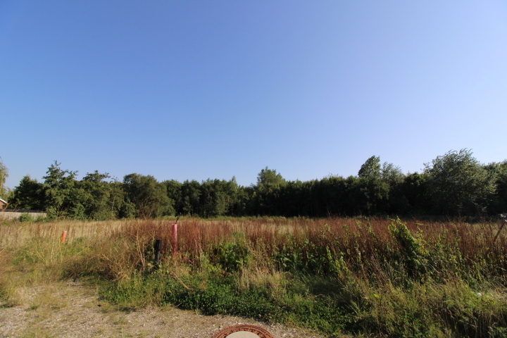 Real Estate Title Image Background