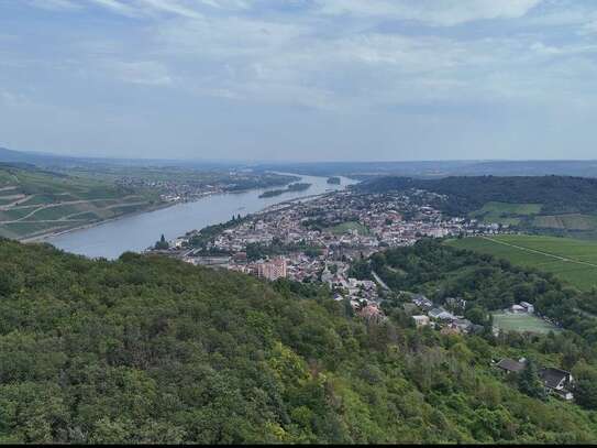 Attraktives Baugrundstück mit Rheinblick