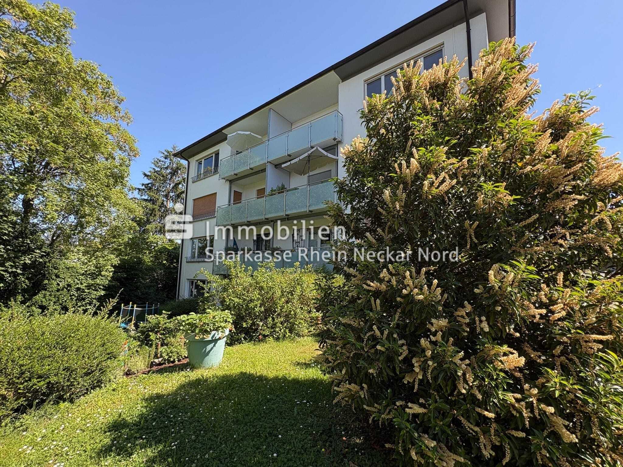 Real Estate Title Image Background