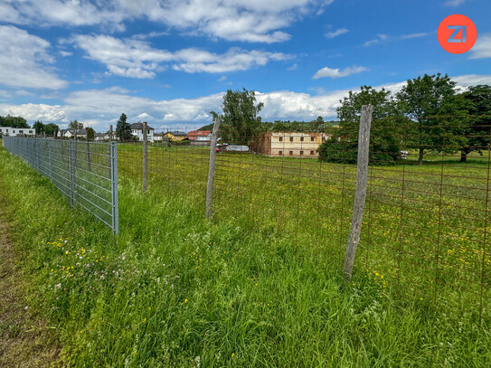 Großzügige, landwirtschaftliche Fläche mit Potential!