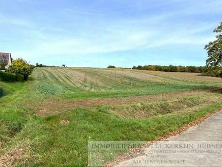 Landwirtsch. Fläche/ Ackerland, verpachtet, in Gleußen am Ortsrand in toller Lage zu verkaufen.