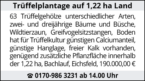 Trüffelplantage auf 1,22 ha Land 63 Trüffelgehölze unterschiedlicher Arten, zwei- und dreijährige Bäume und Büsche